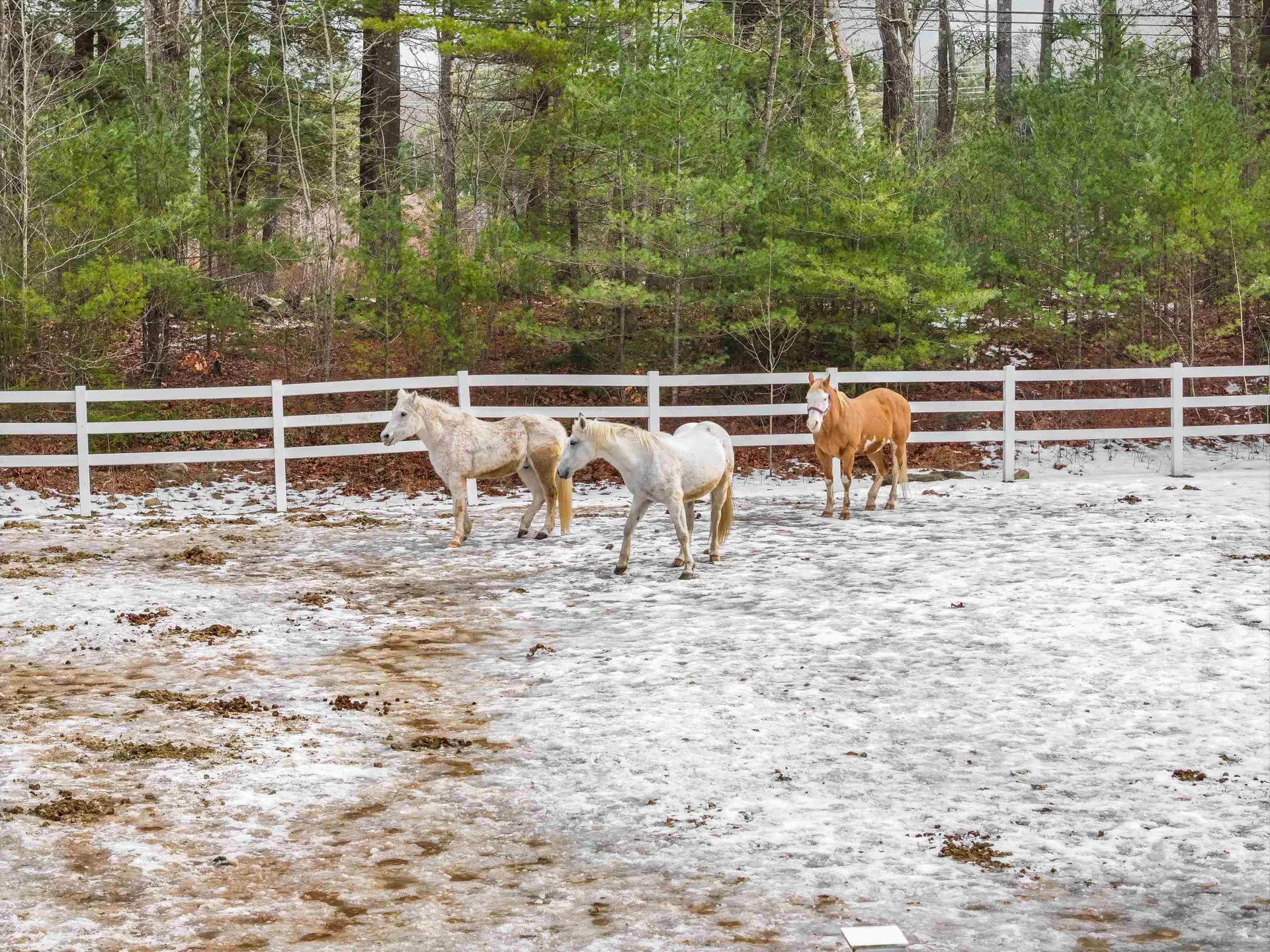 417 Candia Road Chester NH 03036