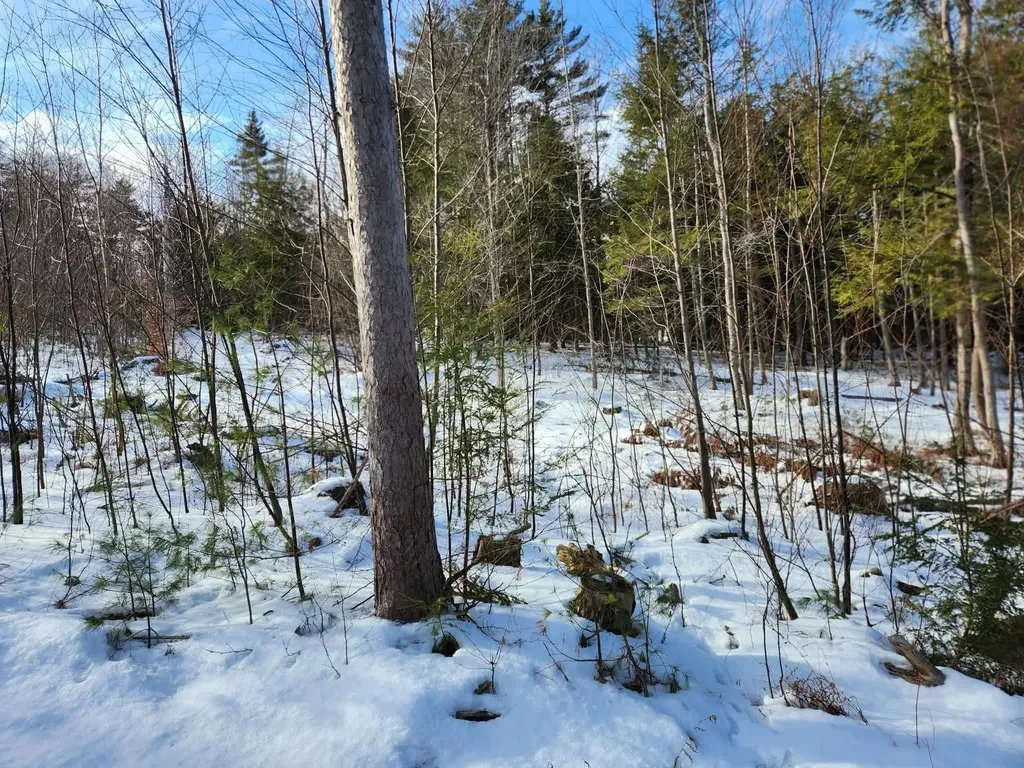 0 Munsey Road Gilmanton NH 03237