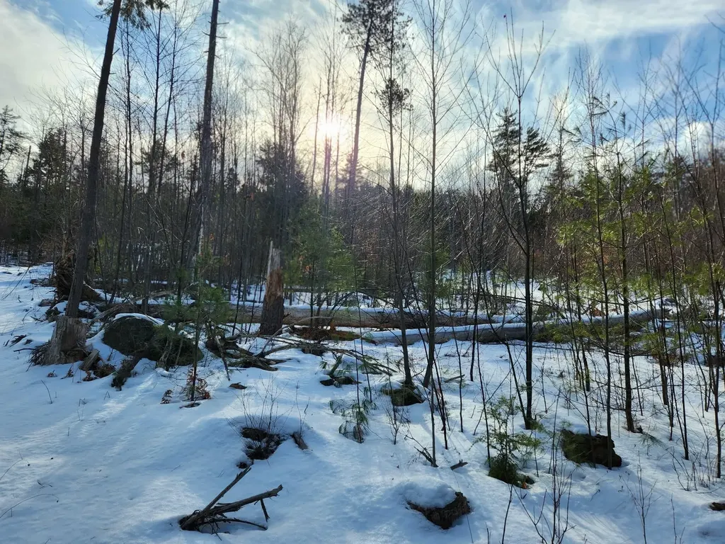 0 Munsey Road Gilmanton NH 03237