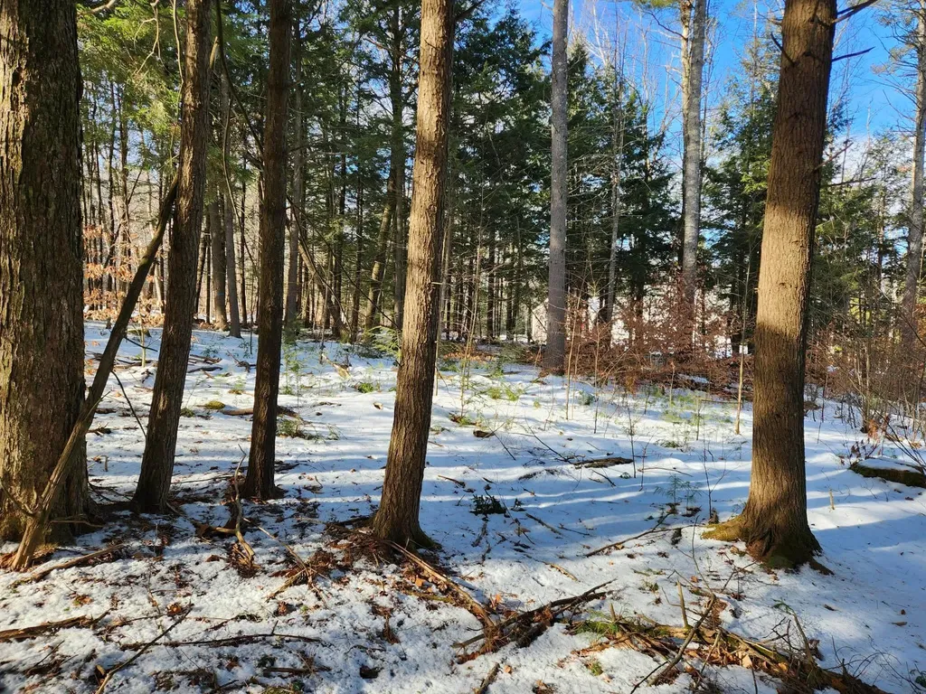 0 Munsey Road Gilmanton NH 03237