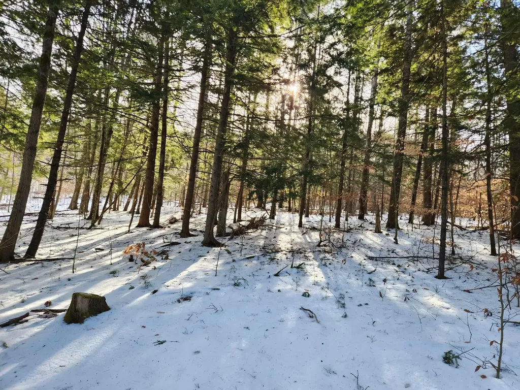 0 Munsey Road Gilmanton NH 03237