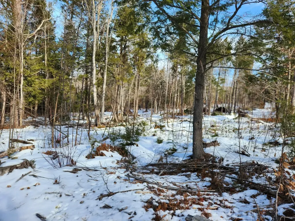 0 Munsey Road Gilmanton NH 03237