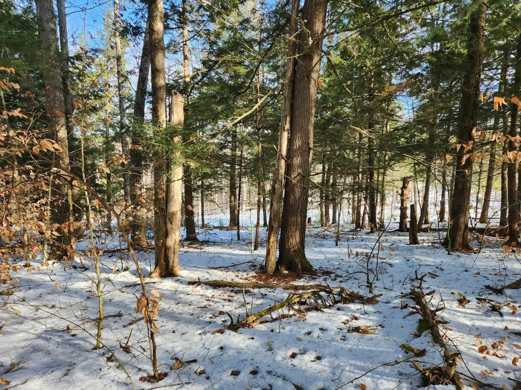 0 Munsey Road Gilmanton NH 03237