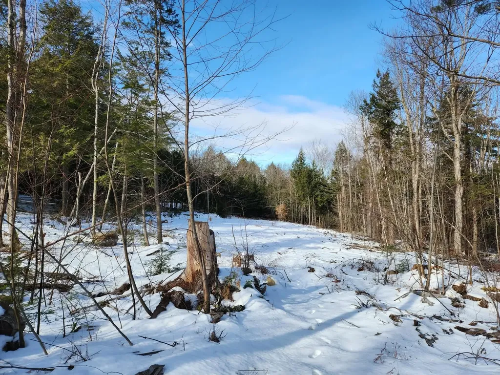 0 Munsey Road Gilmanton NH 03237