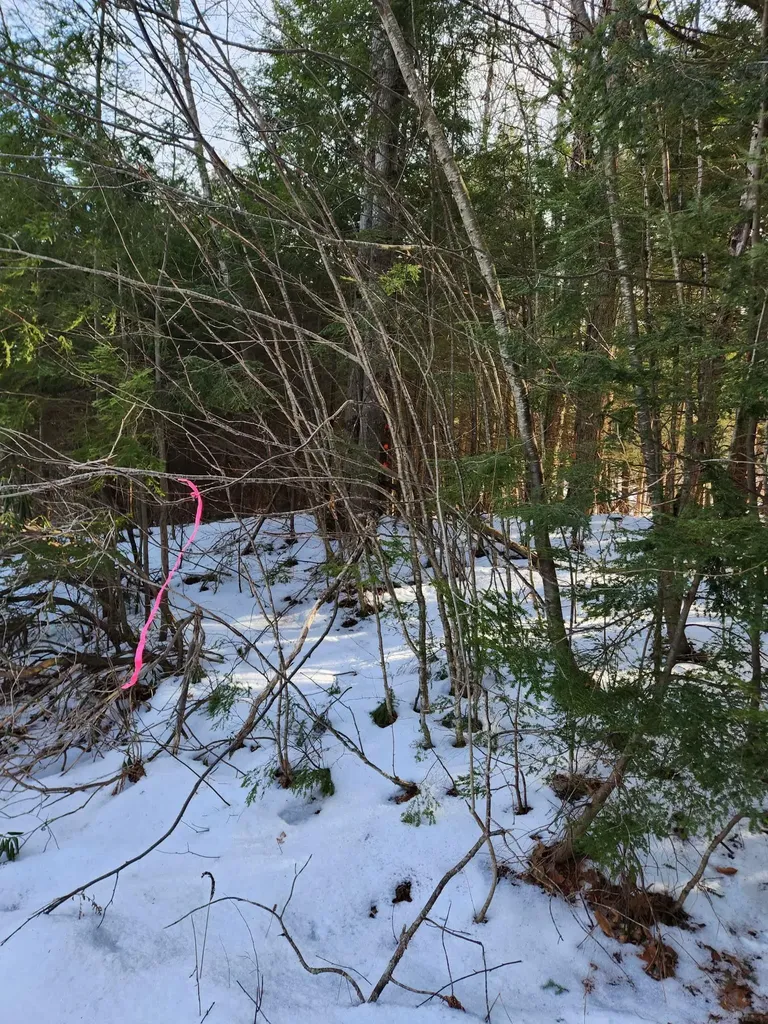 0 Munsey Road Gilmanton NH 03237