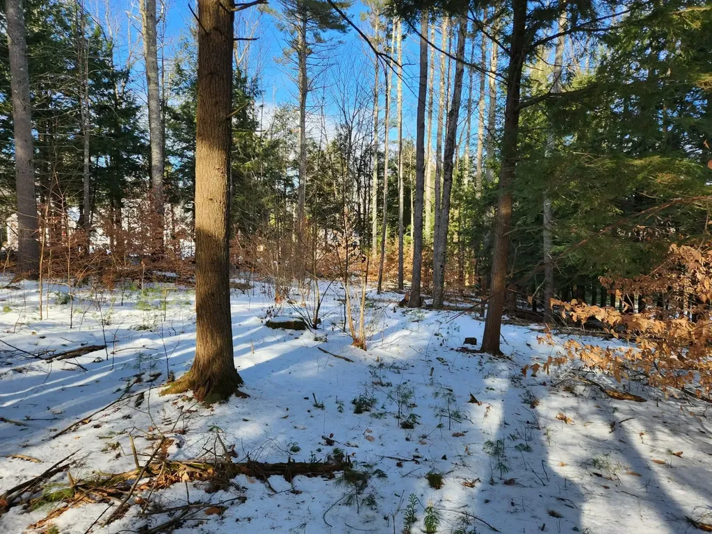 0 Munsey Road Gilmanton NH 03237