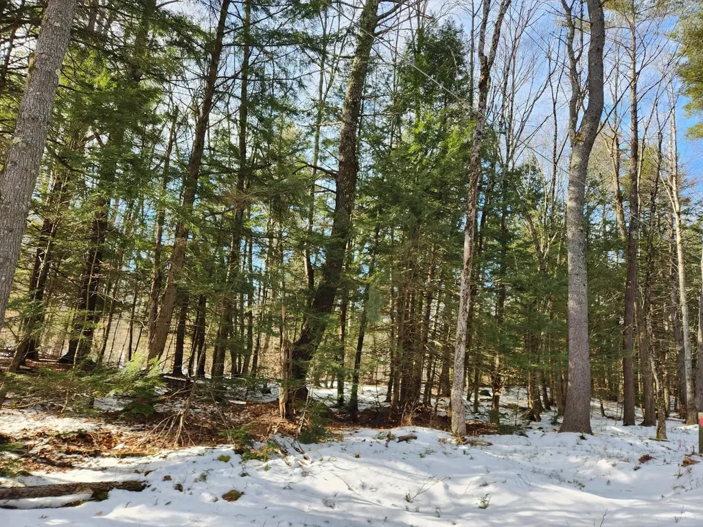 0 Munsey Road Gilmanton NH 03237