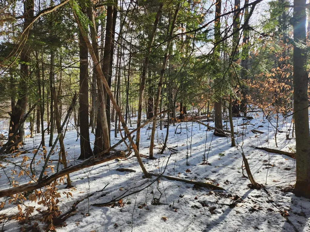 0 Munsey Road Gilmanton NH 03237