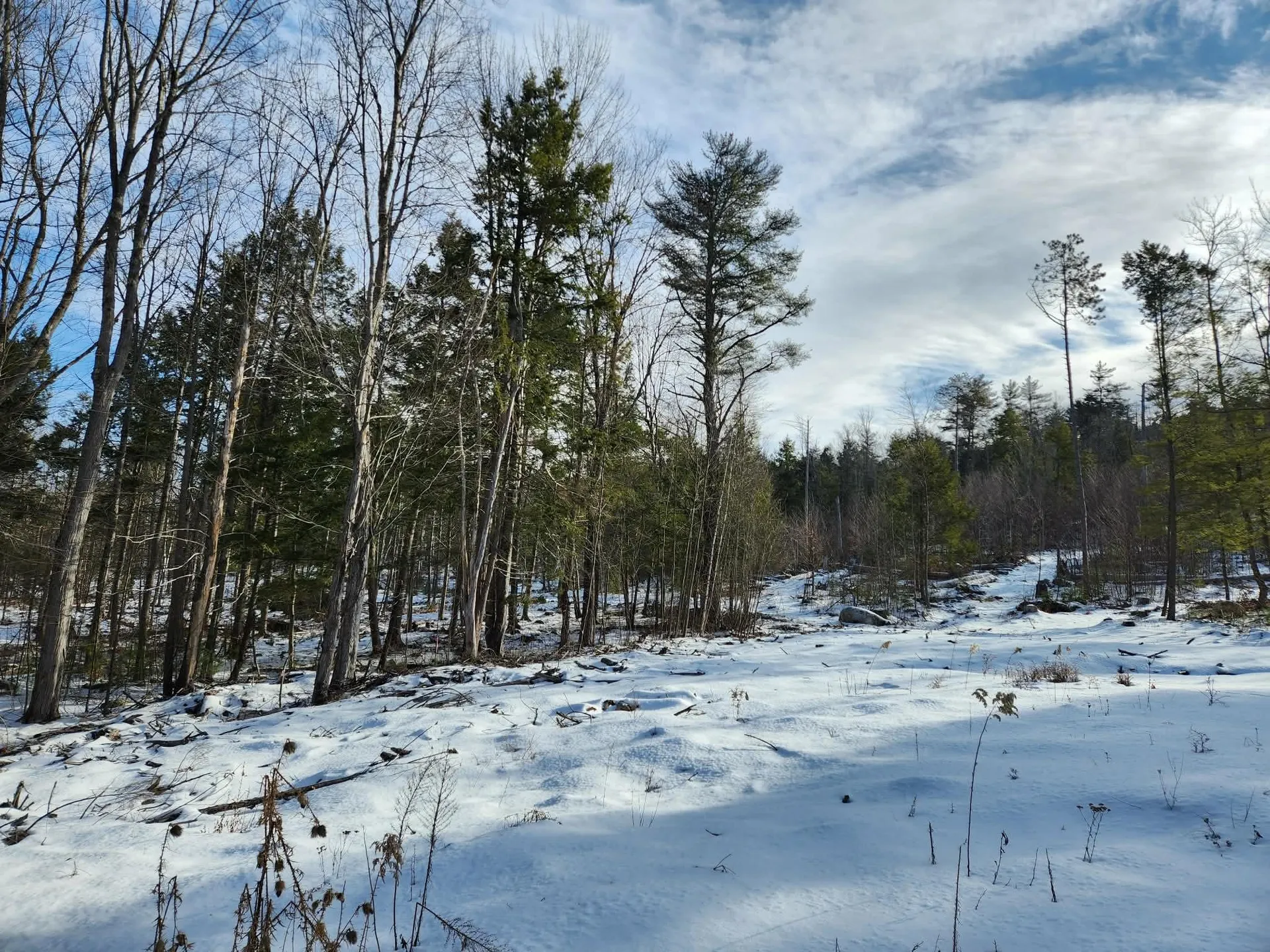 0 Munsey Road Gilmanton NH 03237