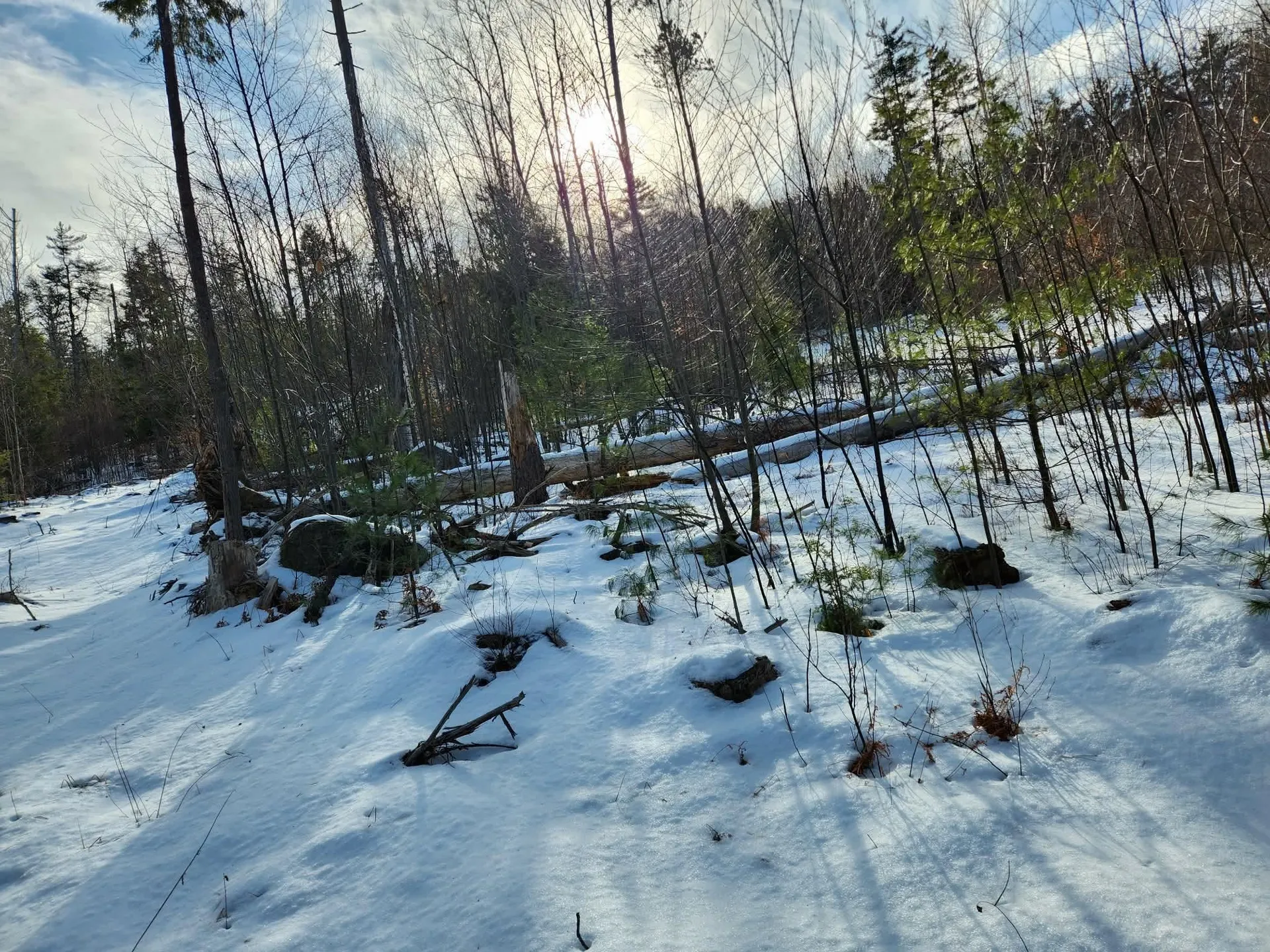 0 Munsey Road Gilmanton NH 03237