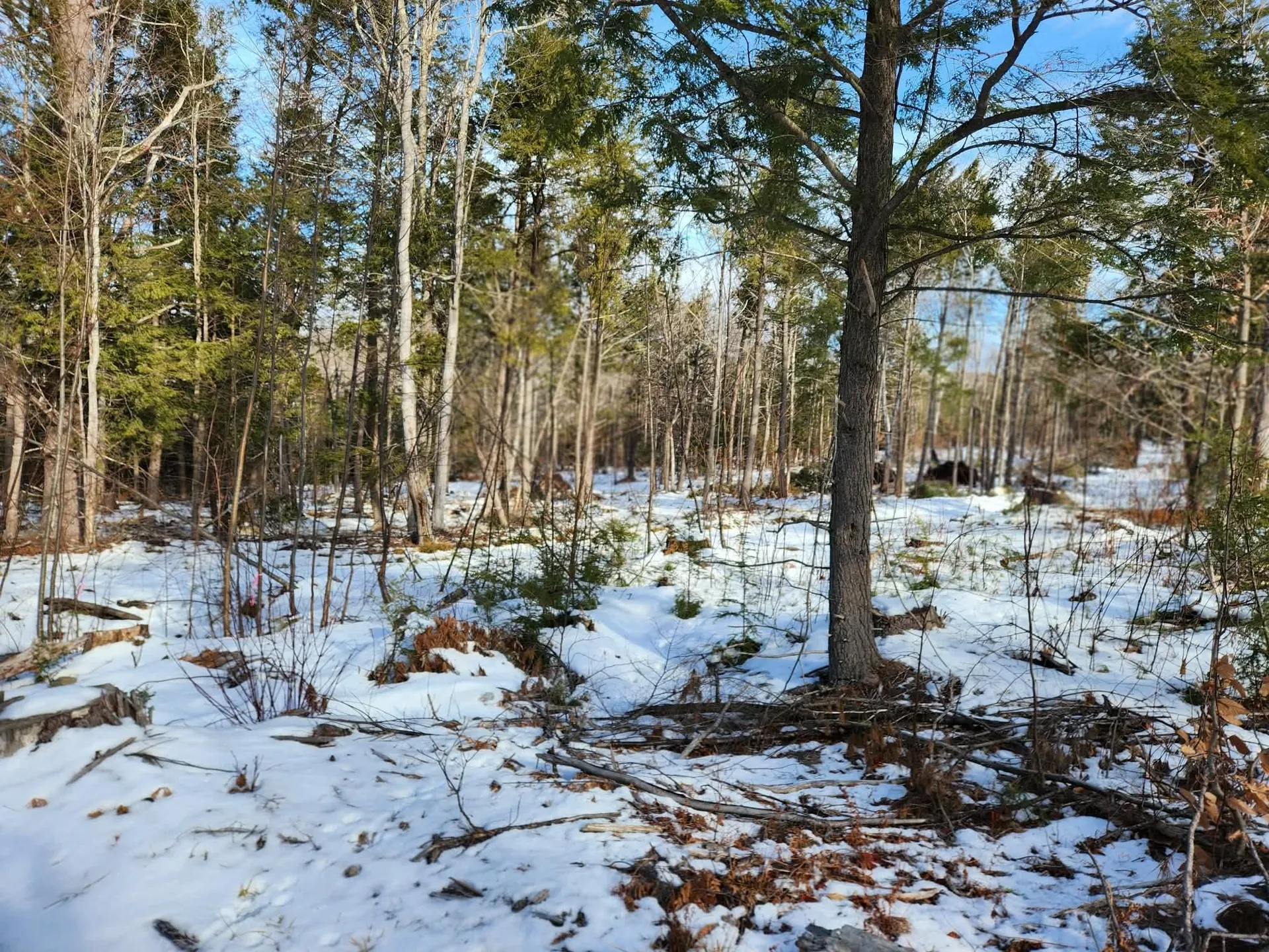 0 Munsey Road Gilmanton NH 03237