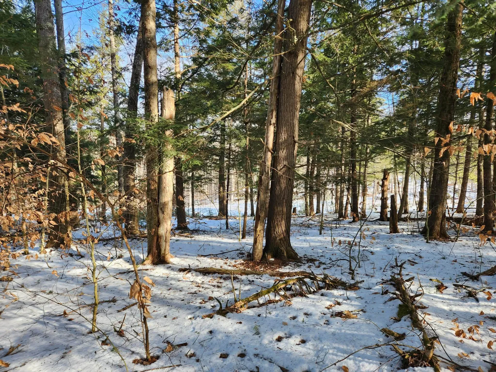 0 Munsey Road Gilmanton NH 03237