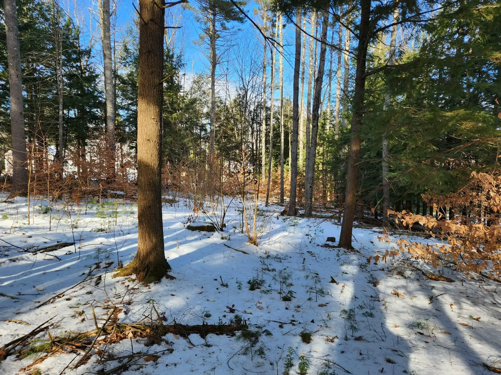 0 Munsey Road Gilmanton NH 03237