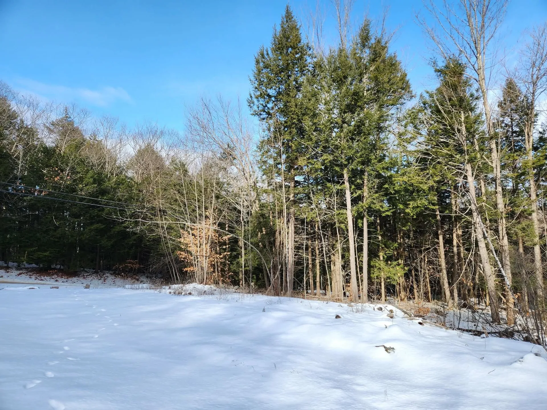 0 Munsey Road Gilmanton NH 03237