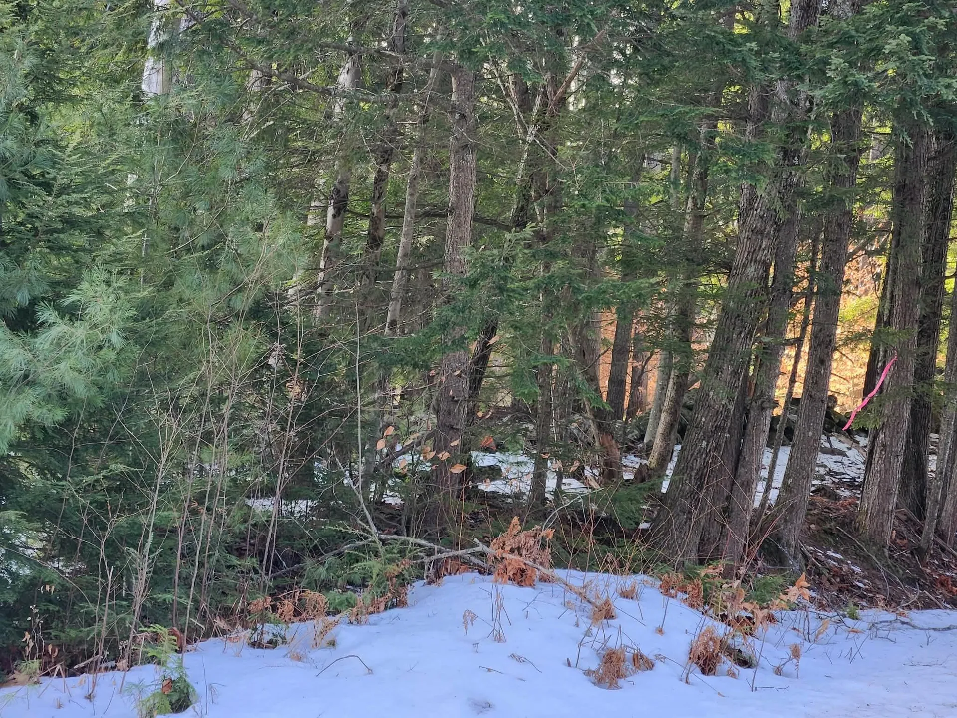 0 Munsey Road Gilmanton NH 03237