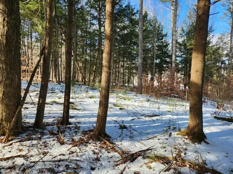 0 Munsey Road Gilmanton NH 03237