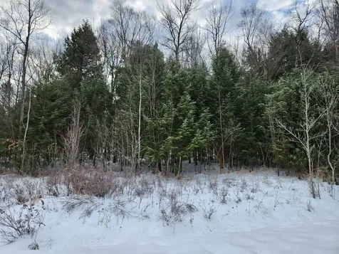 0 Munsey Road Gilmanton NH 03237