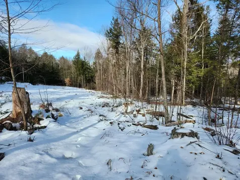 0 Munsey Road Gilmanton NH 03237