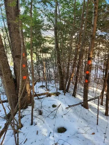 0 Munsey Road Gilmanton NH 03237