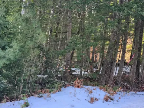 0 Munsey Road Gilmanton NH 03237