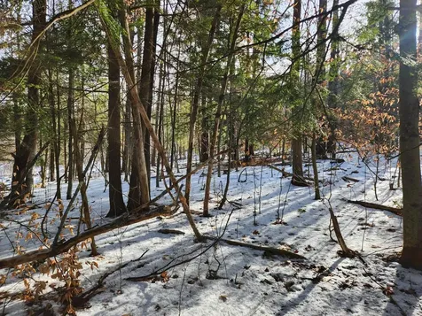 0 Munsey Road Gilmanton NH 03237