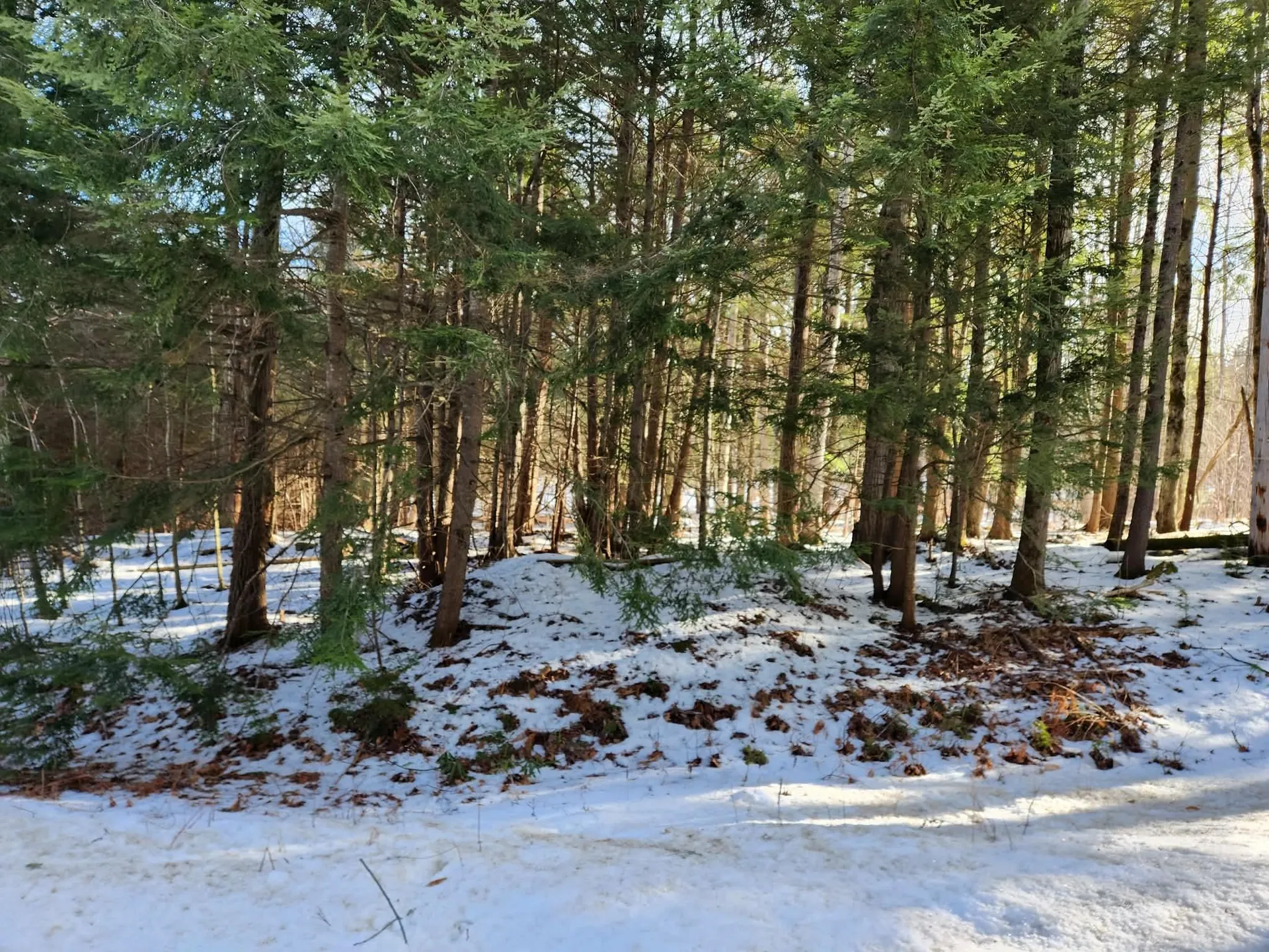 1 Munsey Hill Road Gilmanton NH 03237