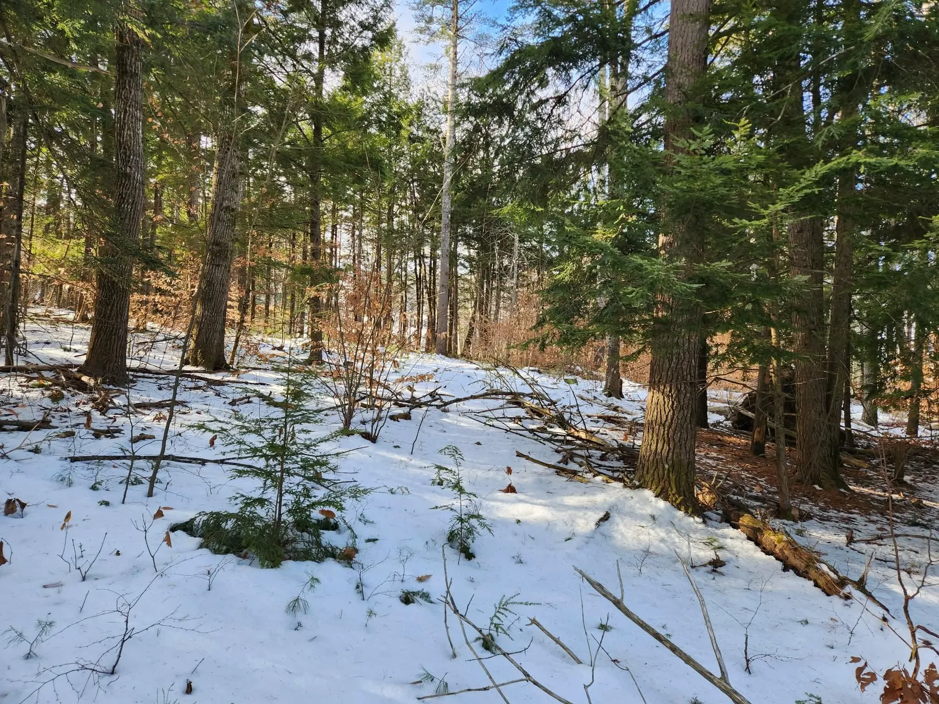 1 Munsey Hill Road Gilmanton NH 03237