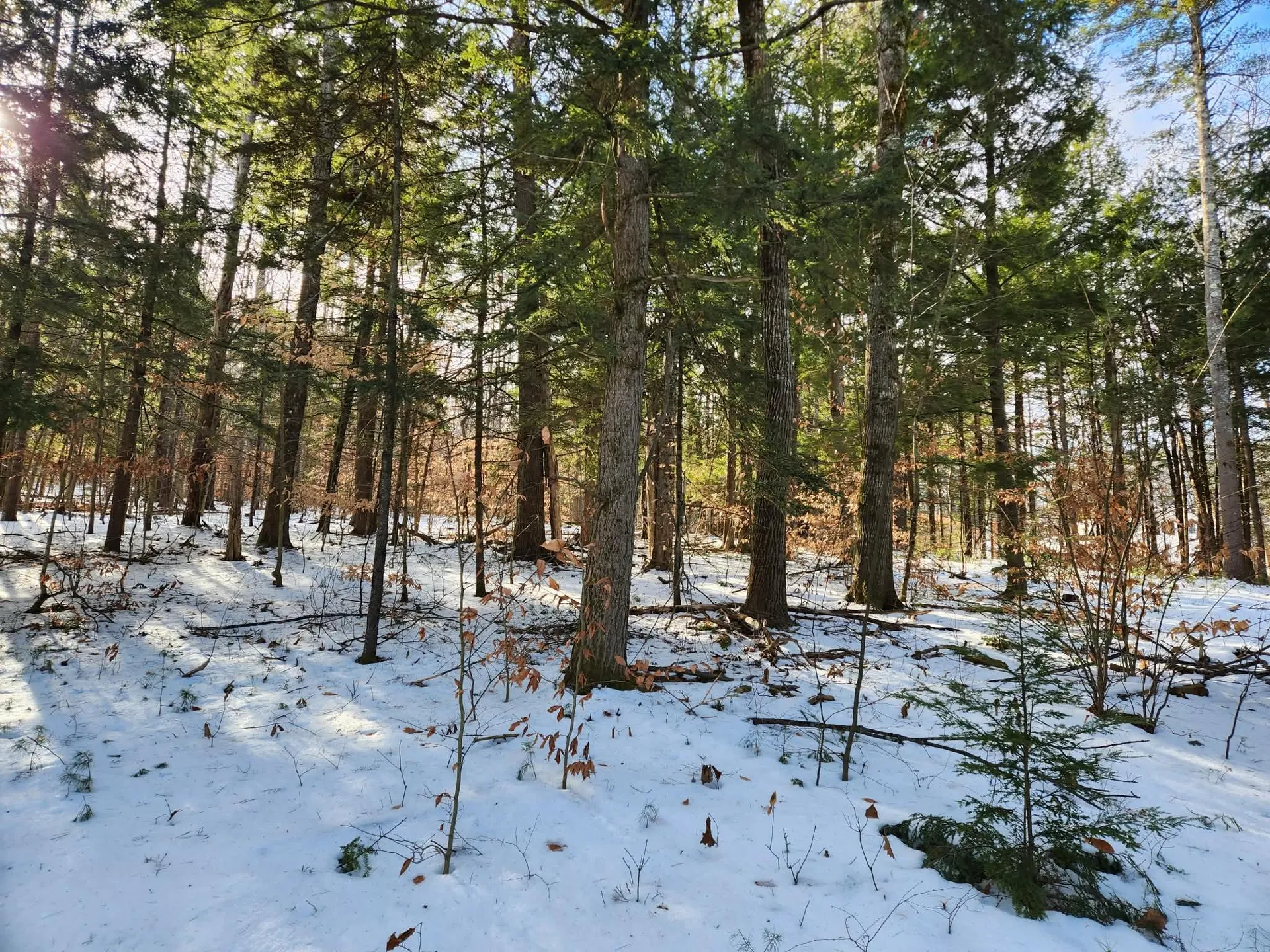 1 Munsey Hill Road Gilmanton NH 03237