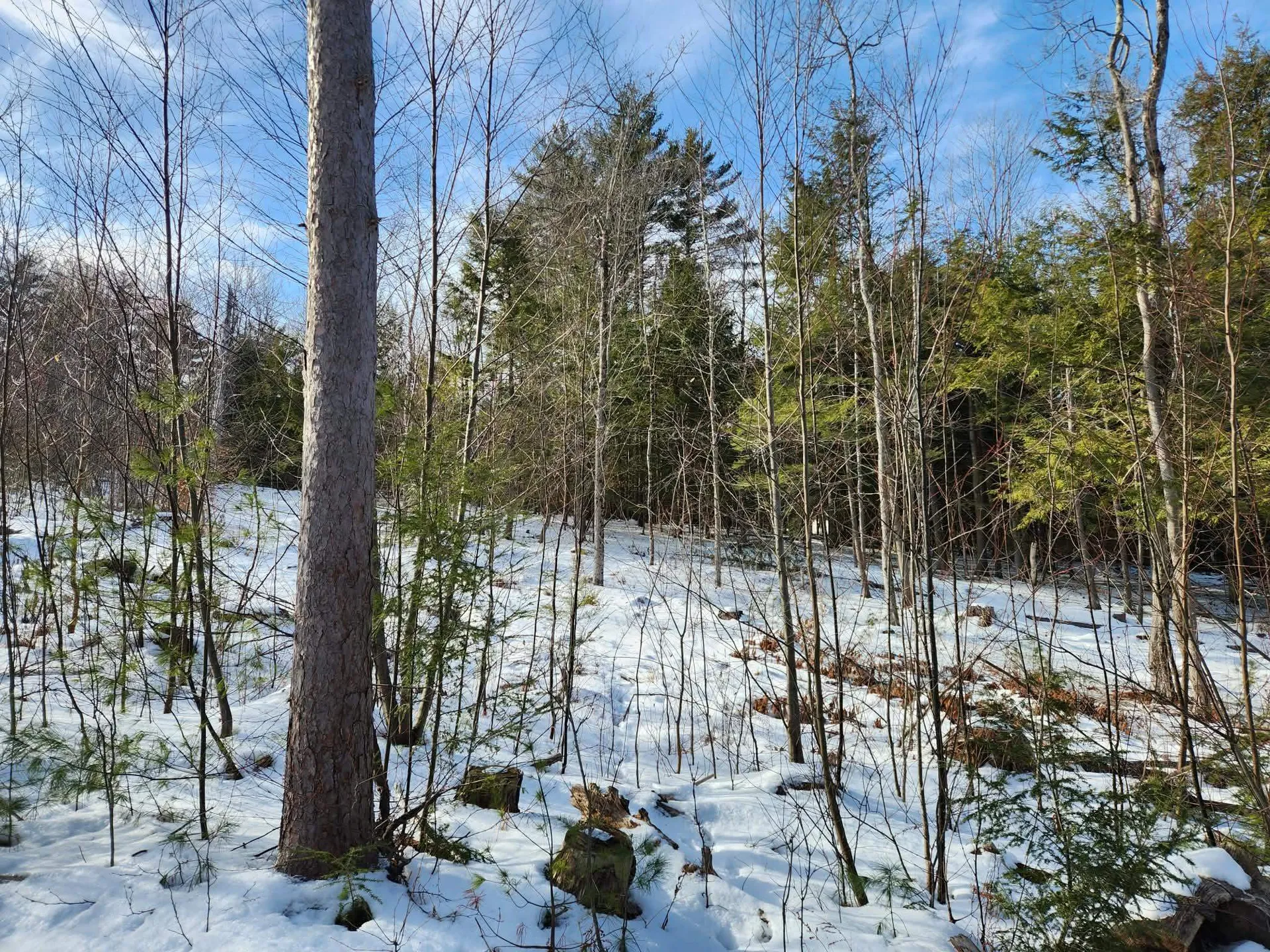 1 Munsey Hill Road Gilmanton NH 03237