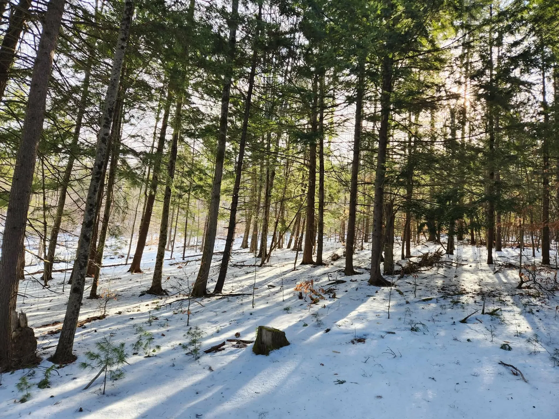 1 Munsey Hill Road Gilmanton NH 03237