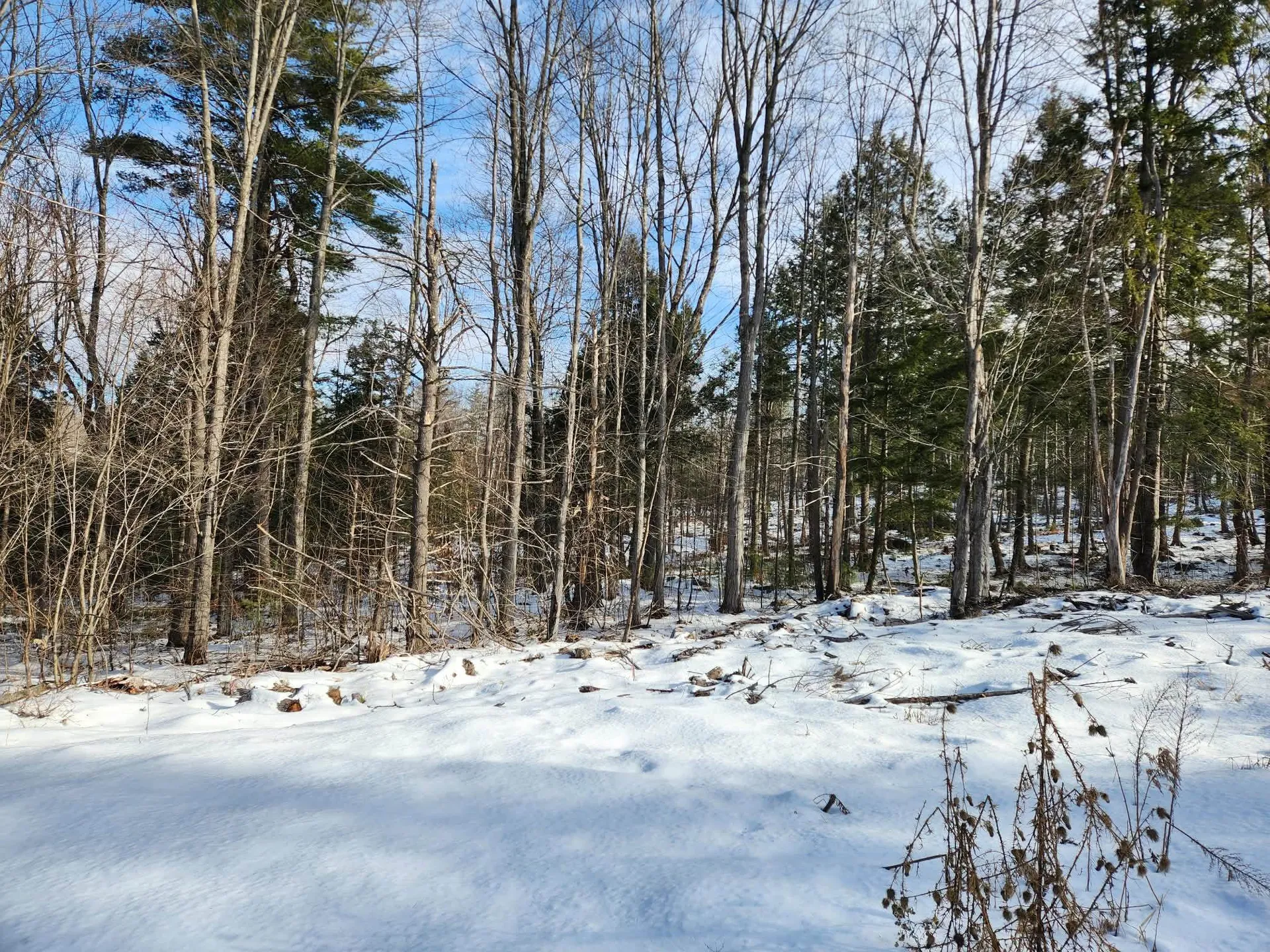 1 Munsey Hill Road Gilmanton NH 03237