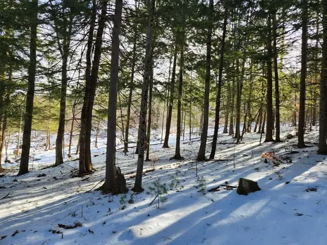 1 Munsey Hill Road Gilmanton NH 03237