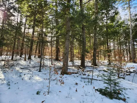 1 Munsey Hill Road Gilmanton NH 03237