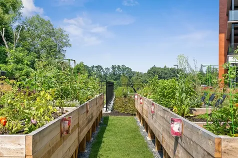 125 Cambrian Way Burlington VT 05401