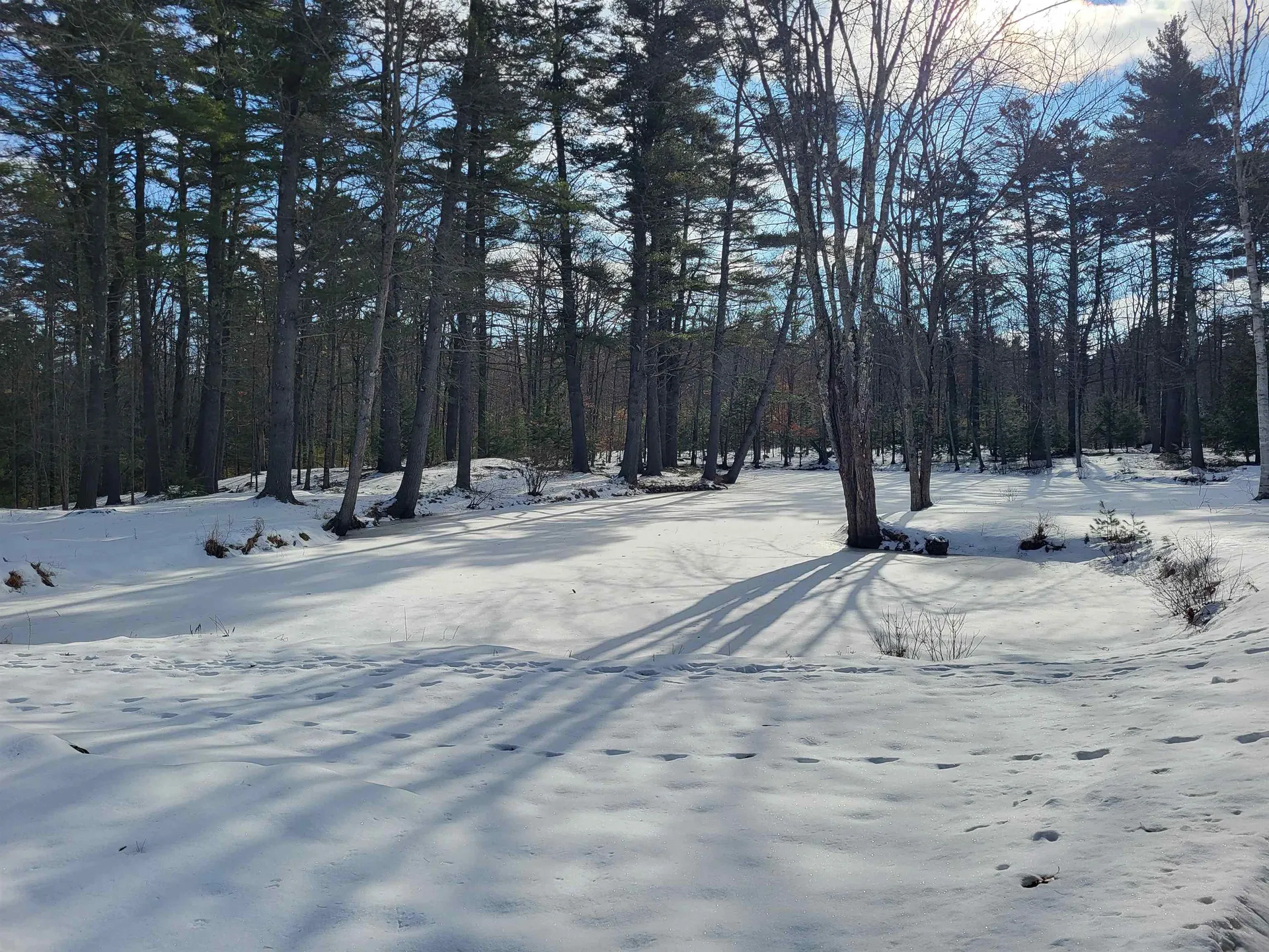 29 Kona Farm Road Moultonborough NH 03254