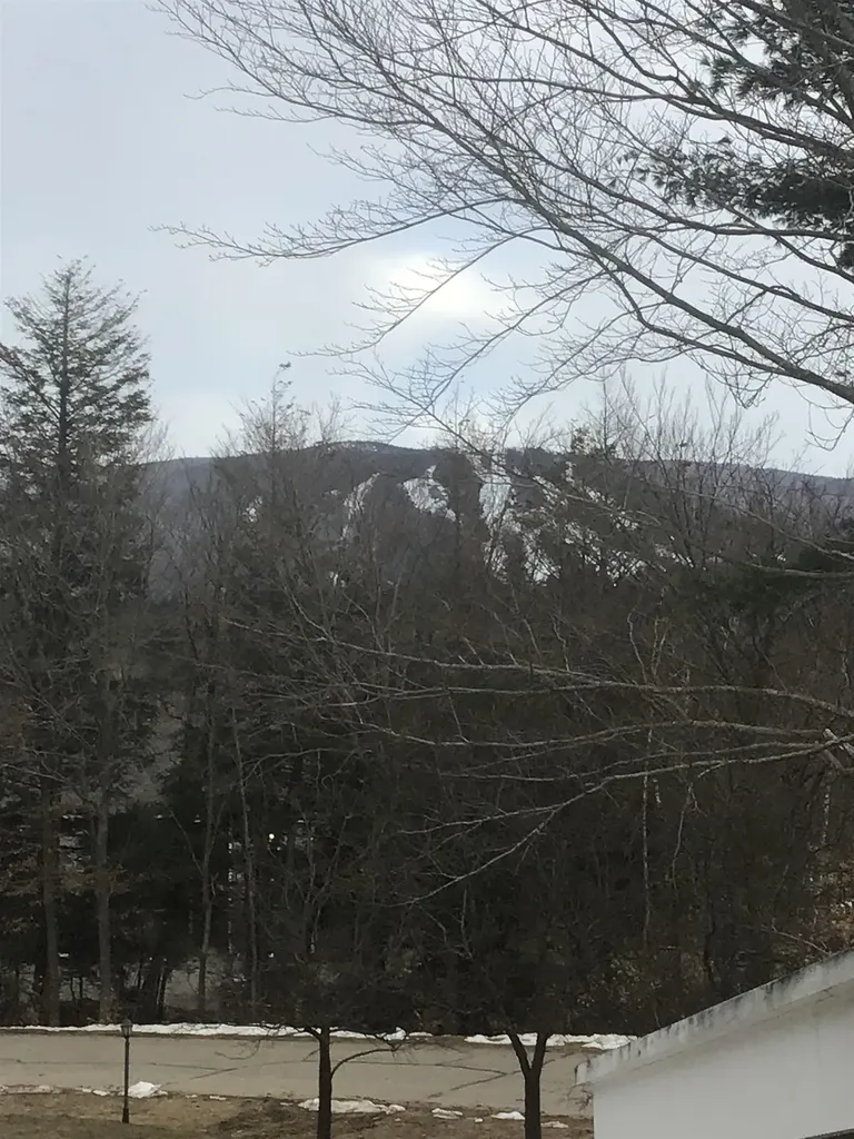 77 Northbrook Circle Conway NH 03860