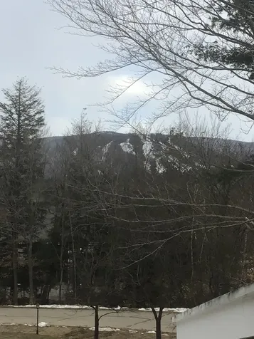 77 Northbrook Circle Conway NH 03860