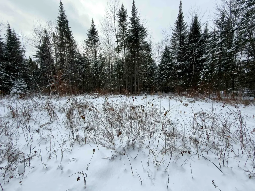 40 Bear Paw Trail Littleton NH 03561