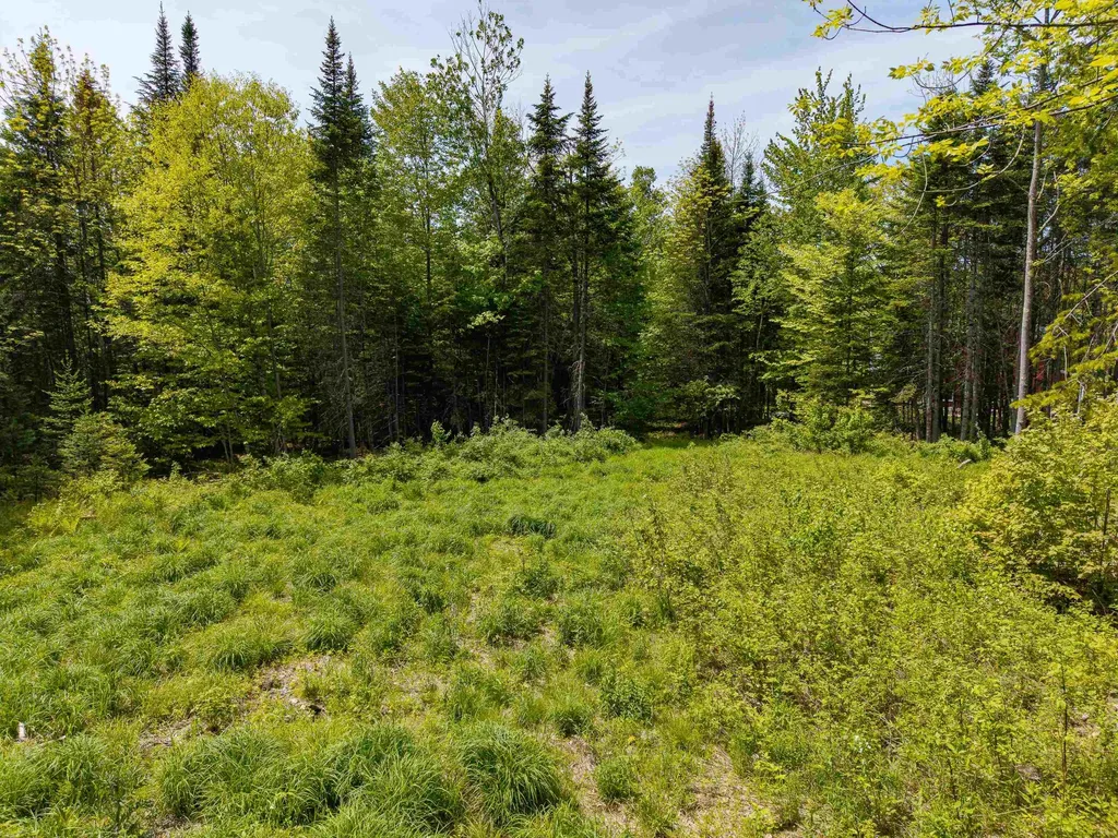 40 Bear Paw Trail Littleton NH 03561