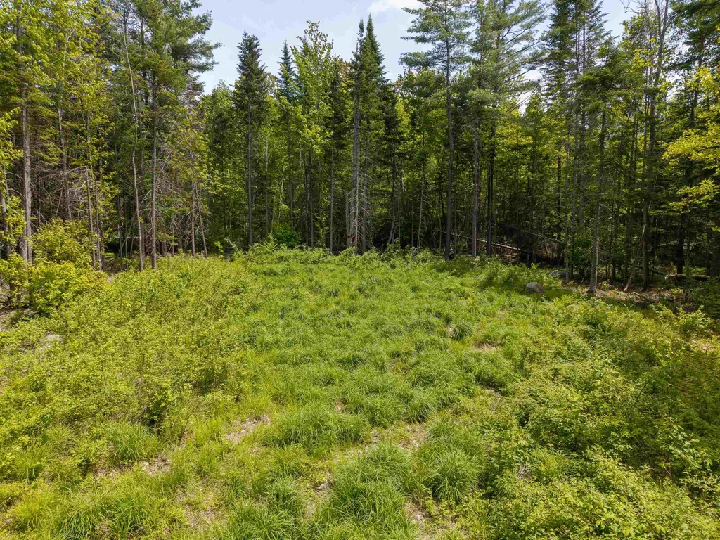 40 Bear Paw Trail Littleton NH 03561