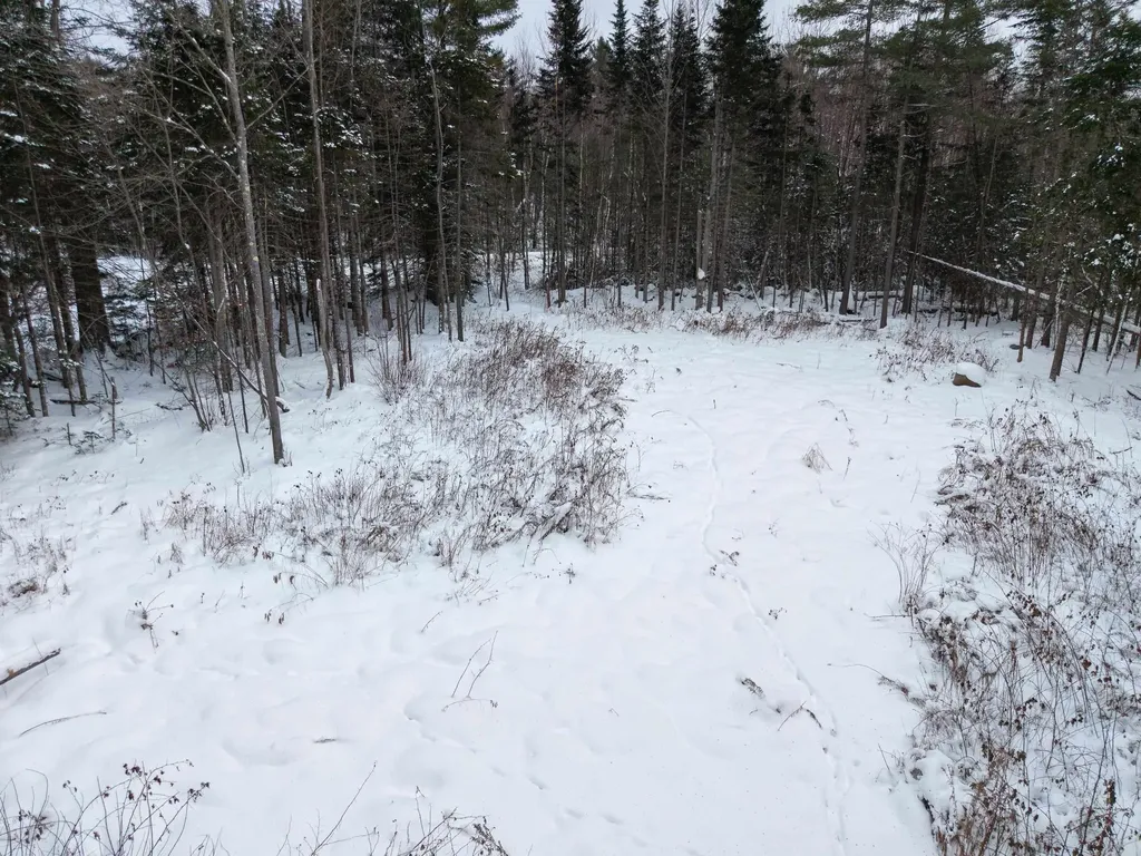 40 Bear Paw Trail Littleton NH 03561