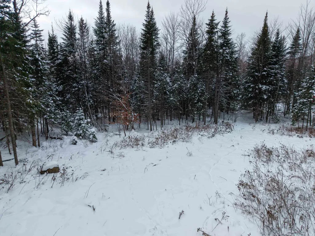 40 Bear Paw Trail Littleton NH 03561