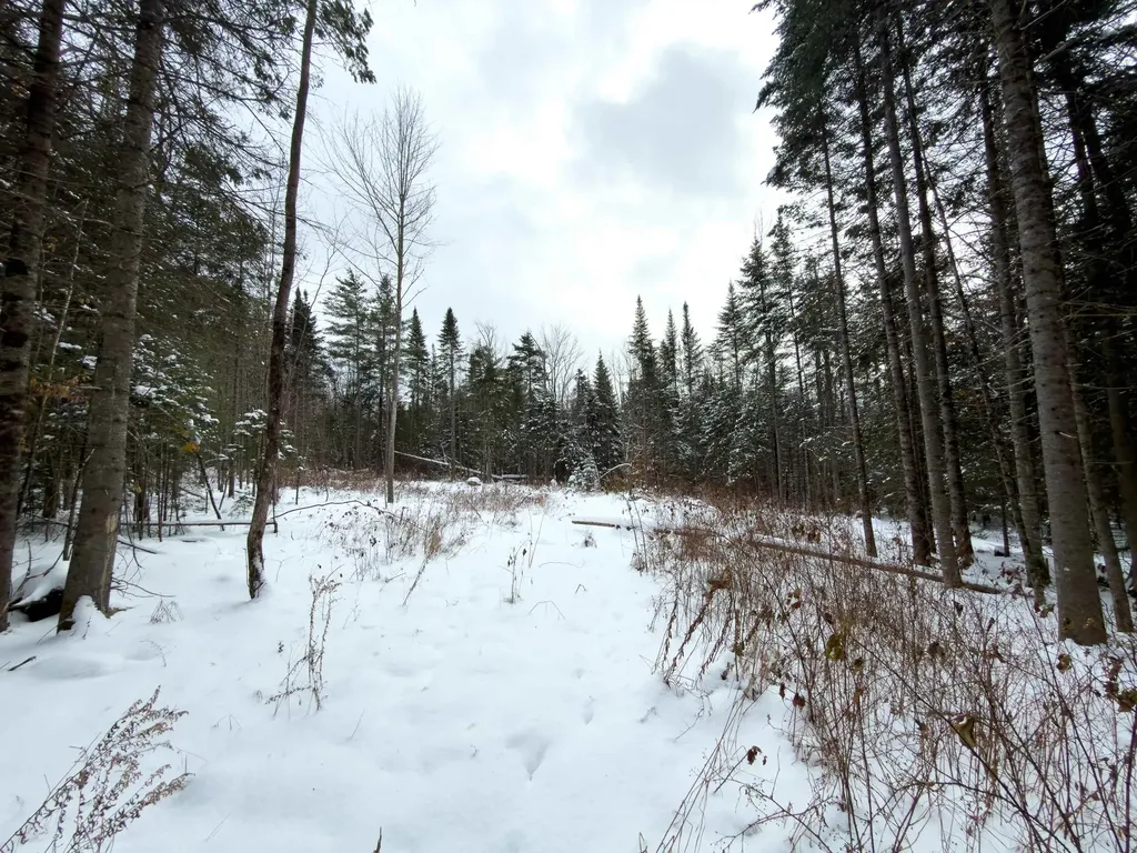 40 Bear Paw Trail Littleton NH 03561