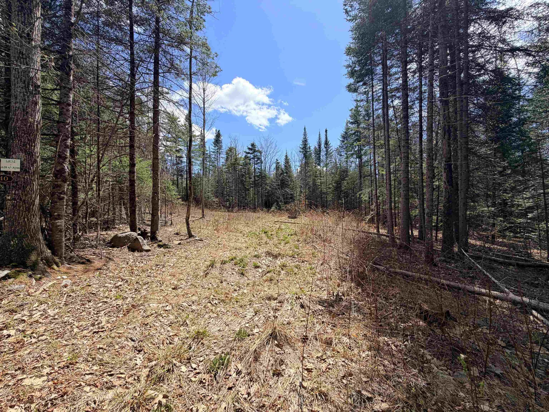 40 Bear Paw Trail Littleton NH 03561