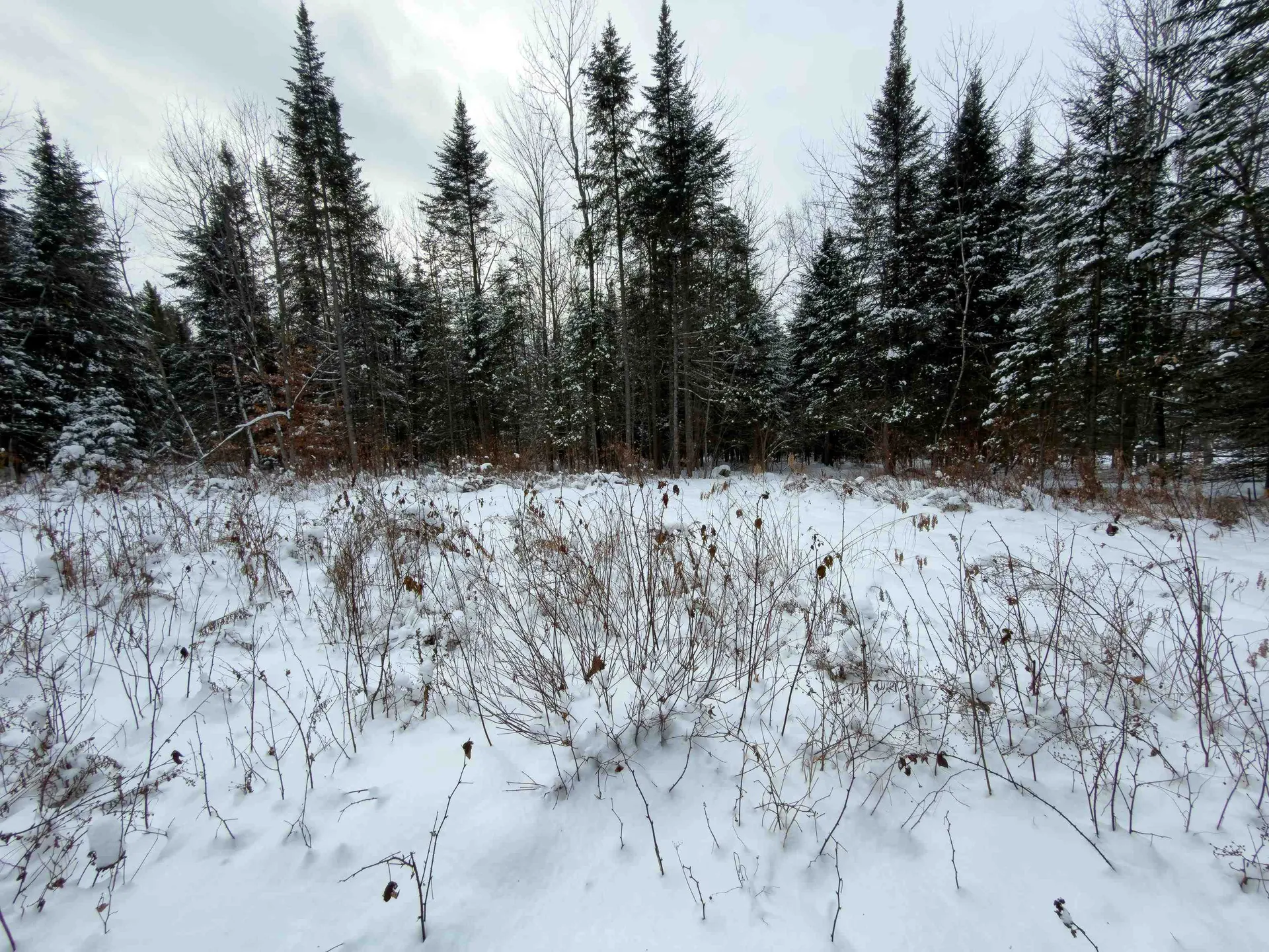 40 Bear Paw Trail Littleton NH 03561