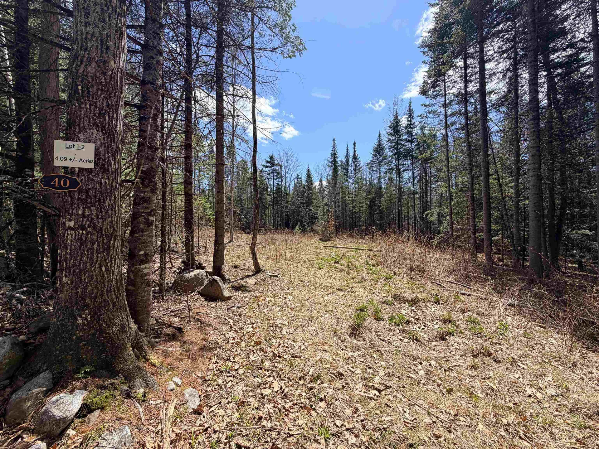 40 Bear Paw Trail Littleton NH 03561