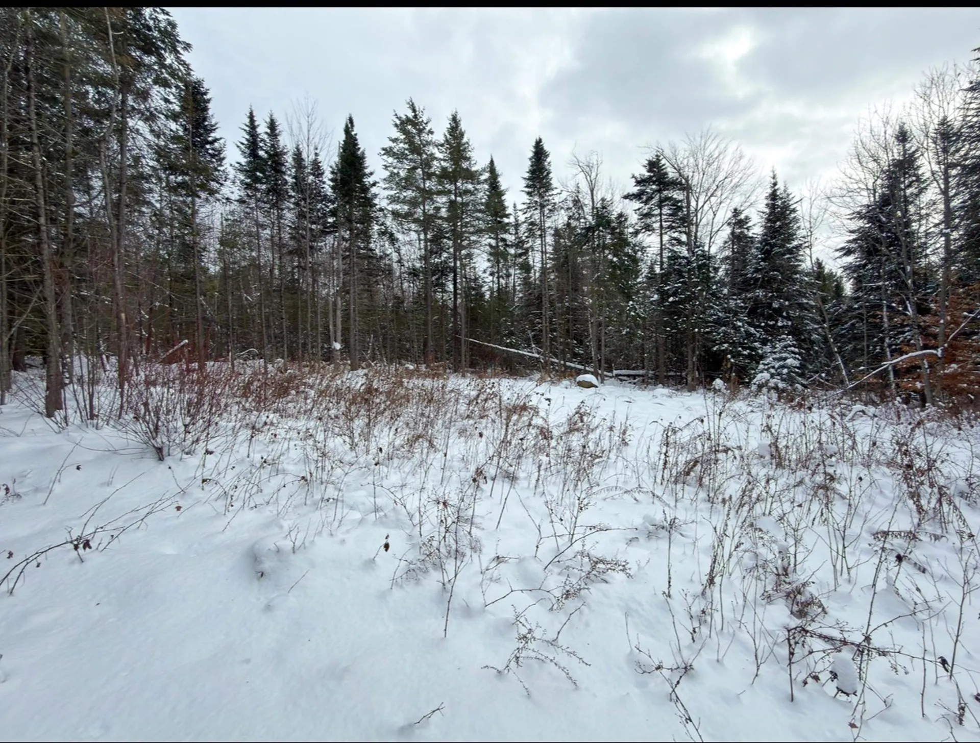 40 Bear Paw Trail Littleton NH 03561