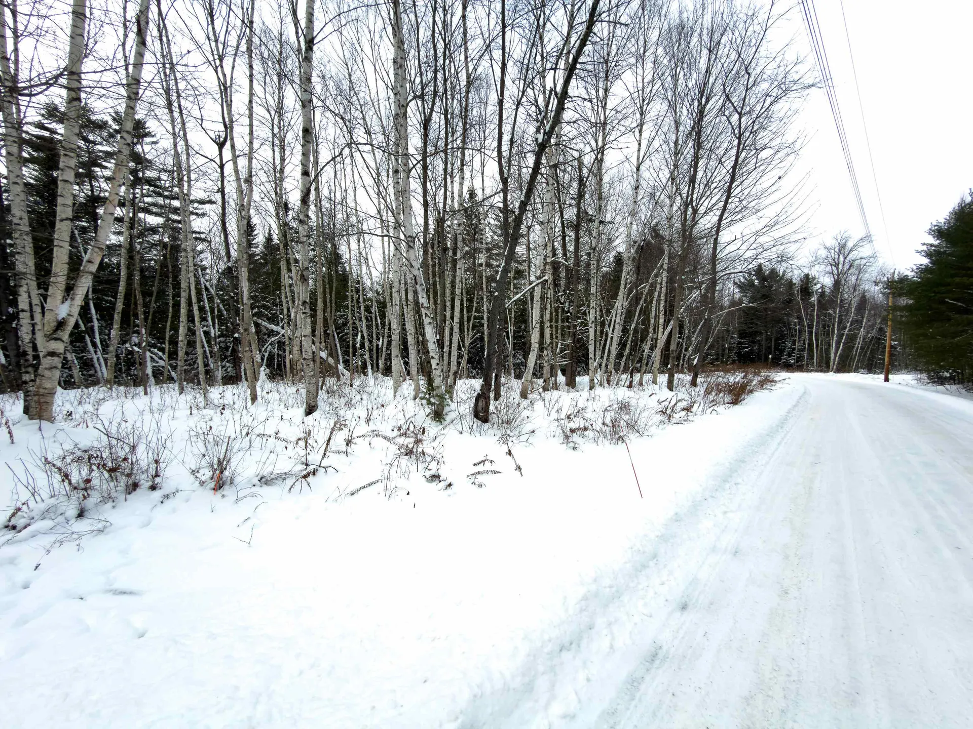 40 Bear Paw Trail Littleton NH 03561