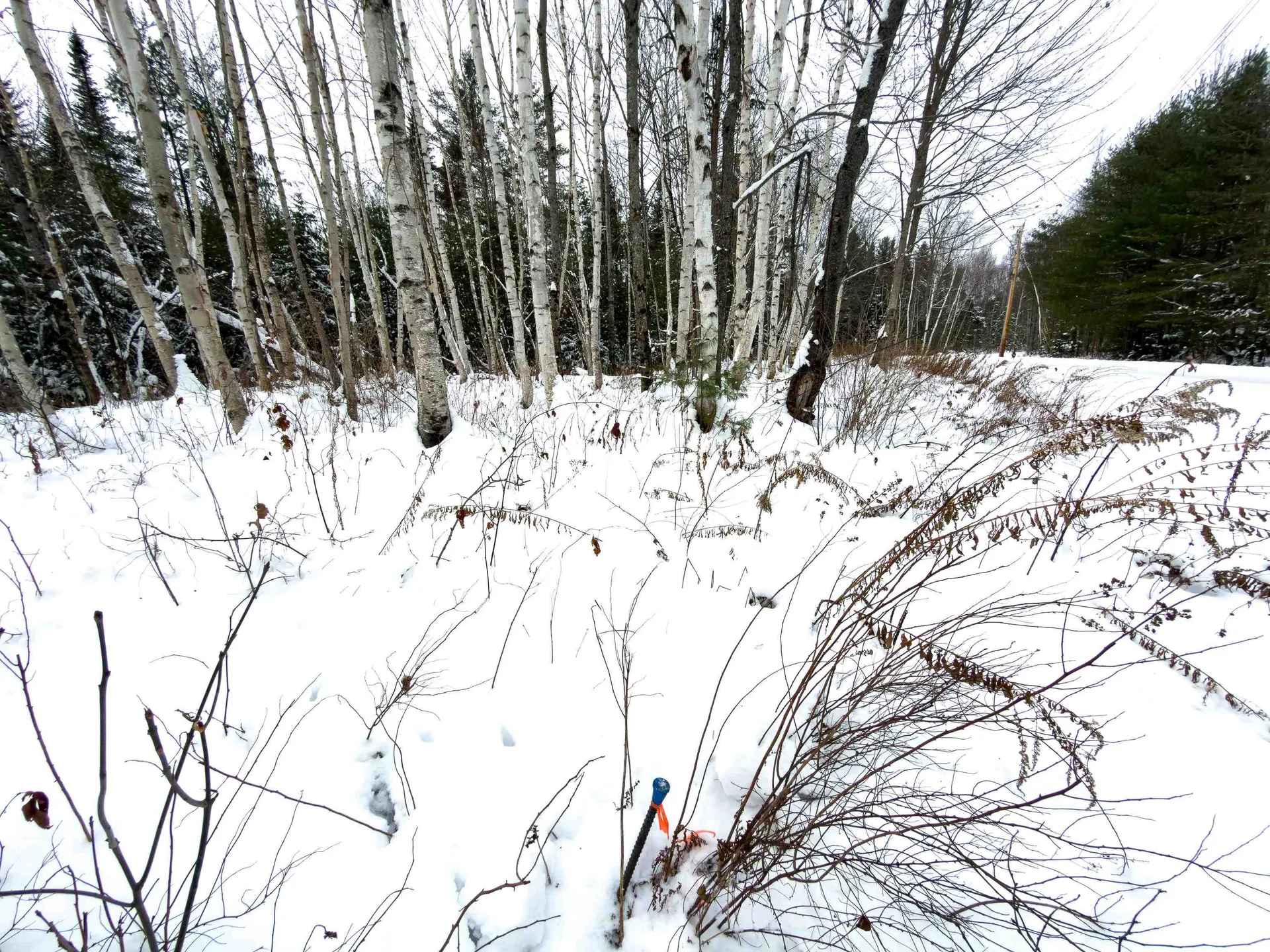 40 Bear Paw Trail Littleton NH 03561