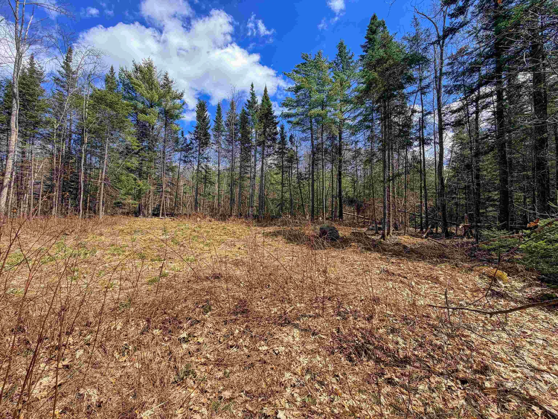 40 Bear Paw Trail Littleton NH 03561